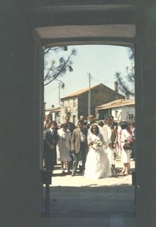 Just Maried !