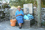 Tia  Balbina